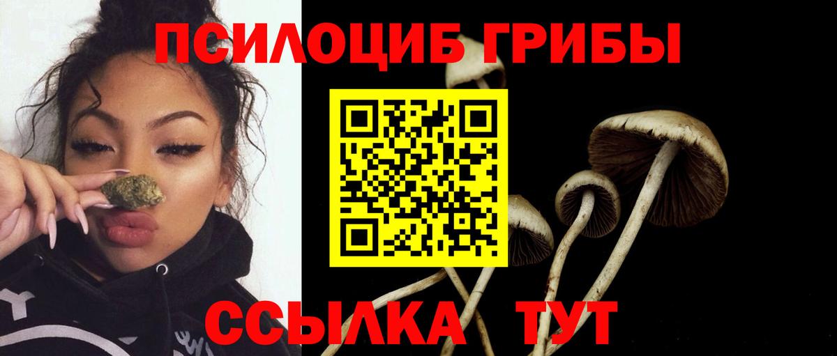 Галлюциногенные грибы Psilocybine cubensis Бердск