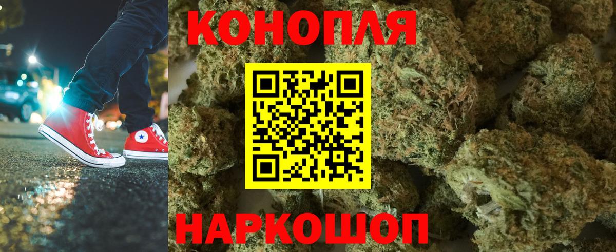 Конопля марихуана Бердск